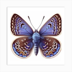 Butterfly of Scolitantides bavius 3 Art Print