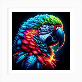 Macaw Art Print