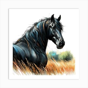 Wild Black Mustang Horse In The Gras Color Drawing 1 Art Print