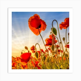 Fascinating Poppies Art Print