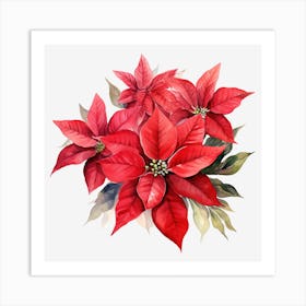 Poinsettia 24 Art Print