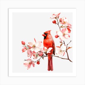 Cardinal On Cherry Blossom Art Print