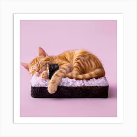 Cat Sleeping On Sushi 3 Art Print