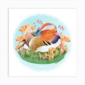 Mandarin Duck/Canard mandarin Art Print