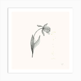 Tulip Black And White Botanical 2 Art Print