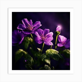 Purple Geraniums Art Print