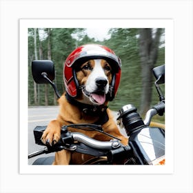 Dog On A Motorcycle Art Print