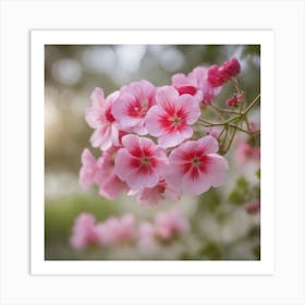 A Blooming Geranium Blossom Tree With Petals Gently Falling In The Breeze 3 Art Print