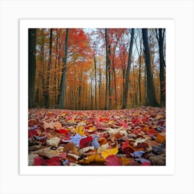 Autumn Leaves In The Forest Art Print