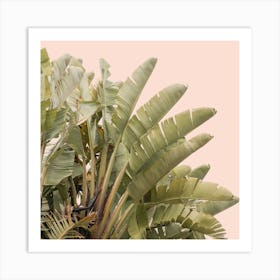 Tropical Leaves On Pastel Square Art Print