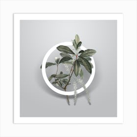 Vintage Swamp Titi Leaves Minimalist Botanical Geometric Circle on Soft Gray Art Print