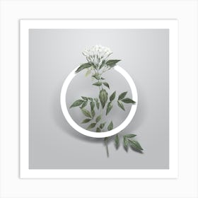 Vintage Jasmin Officinale Flower Minimalist Floral Geometric Circle on Soft Gray n.0381 Art Print