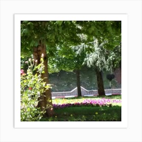 Flowers In A Park Art Print