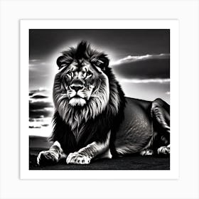Lion In Black And White 6 Art Print