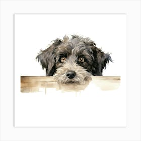 Schnauzer 30 Art Print