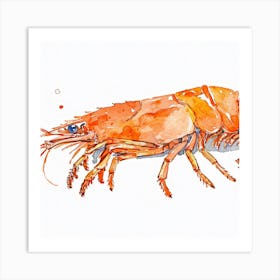 Prawn 1 Art Print