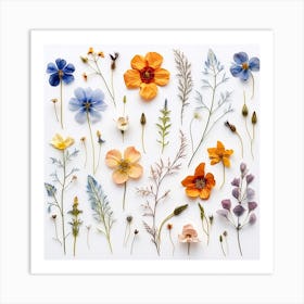 Dried Wild Flowers 11 Art Print