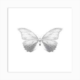 Butterfly 4 Art Print