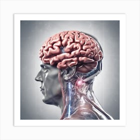 Brain And Spinal Cord Art Print