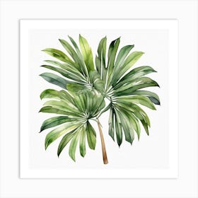 Green fan of palm leaves 5 Art Print