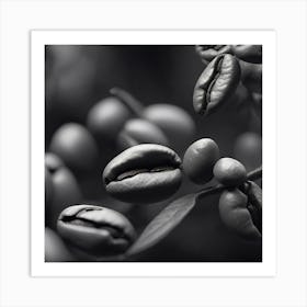 Coffee Beans In Black And White 1 Art Print