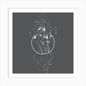 Vintage Elder Scented Iris Botanical with Line Motif and Dot Pattern in Ghost Gray n.0242 Art Print