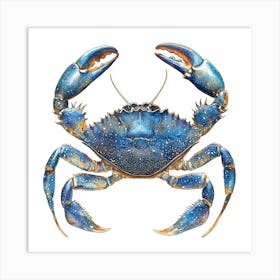 Blue Crab 1 Art Print