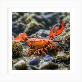 Red Lobster Art Print