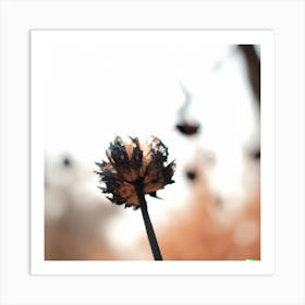 Dandelion Art Print