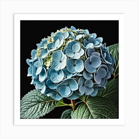 Hydrangea Flower Art Print