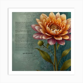 Dahlia 13 Art Print