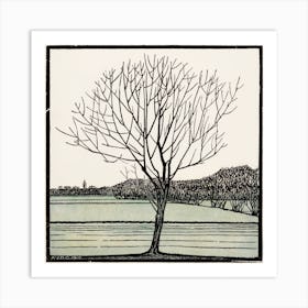 Bald Tree, Julie De Graag Art Print