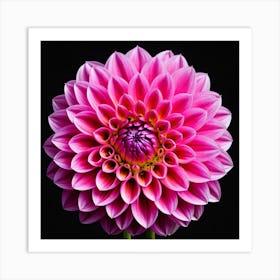 Vibrant pink dahlia flower 5 Art Print