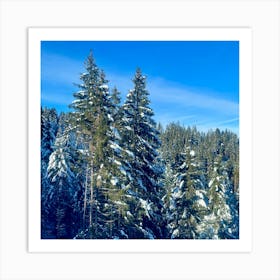 Snowy Forest Art Print