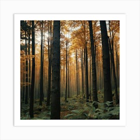 Autumn Forest 1 Art Print