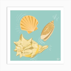 Seashells By The Seashore Square Art Print