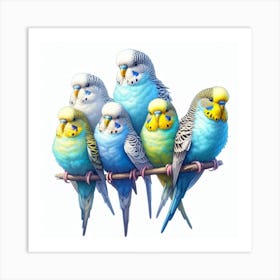 Budgerigars 3 Art Print