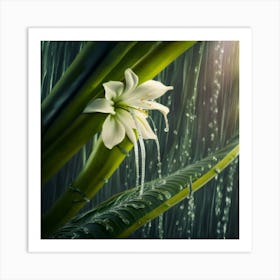 Rain Flower Art Print