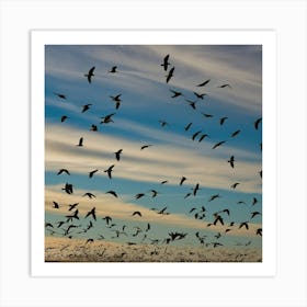 Flock Of Birds 1 Art Print