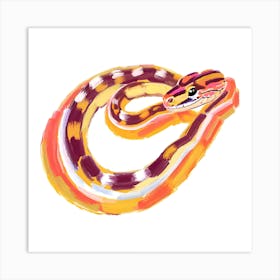 Corn Snake 03 Art Print