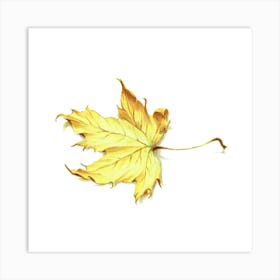 Yellow Maple Leaf Art Print