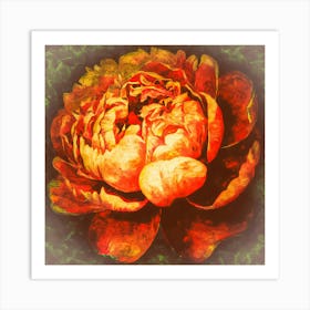 Peony Art Print