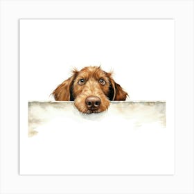 Wirehaired Vizsla Dog Art Print