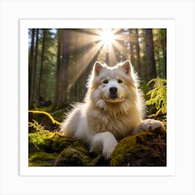 Samoyed Dog In The Forest Art Print