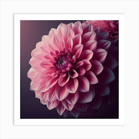 Large pink Dahlia flower 4 Art Print