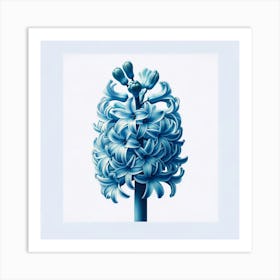 Title: "Blue Hyacinth Harmony: A Lush and Detailed Botanical Artwork"  Description: 'Blue Hyacinth Harmony' is a stunning digital illustration that showcases the intricate beauty of the hyacinth flower in a lush, detailed artwork. This piece features a cluster of rich blue hyacinth petals, artfully arranged to highlight their natural spiral patterns and vibrant tones. Perfect for botany enthusiasts and those who appreciate the finer details of floral art, this print adds a burst of color and a breath of fresh air to any decor. The realistic rendering of the hyacinth, set against a crisp white background, creates a striking contrast that is both bold and calming. Whether displayed in a sunlit conservatory, a chic urban living room, or a welcoming entryway, 'Blue Hyacinth Harmony' is sure to captivate and inspire with its natural elegance and sophisticated charm. Enhance your art collection with this exquisite depiction of springtime splendor. Affiche