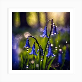 Intense Blue of Bluebells in Spring Art Print