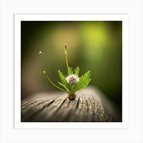 Small Flower On A Wooden Table Art Print