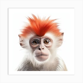 Monkey With Red Hair Art Print