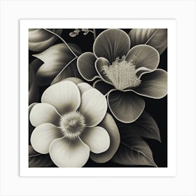 Black And White Flowers Art Print